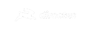 Directus